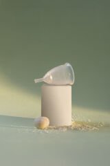 WellCup Regl Kabı Orta Boy